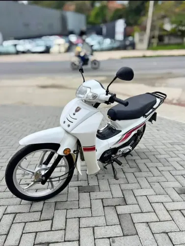 2021 Bull