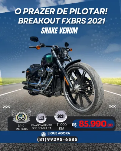 Harley-Davidson Softail Breakout 114 FXBRS 2021  Premium Snake Venom 