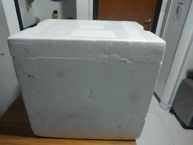 Caixa térmica de isopor 6olt 2unid