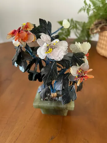 Árvore bonsai de pedras