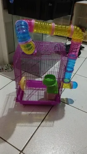 Gaiola hamster e porquinho da india