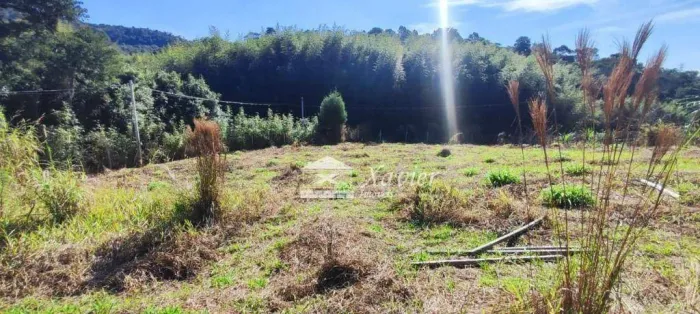 Terreno à venda, 2626 m² por R$ 220.000,00 - Caete (Mailasqui) - São Roque/SP