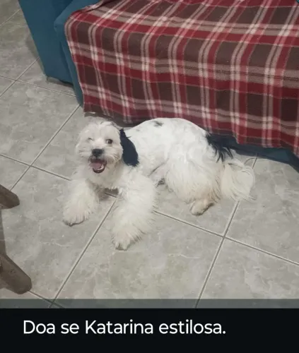 Doa se