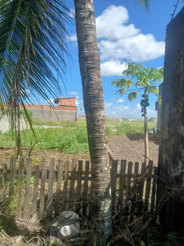 Terreno em rio largo Asa dos ventos