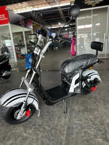 Scooter elétrica Panda R13