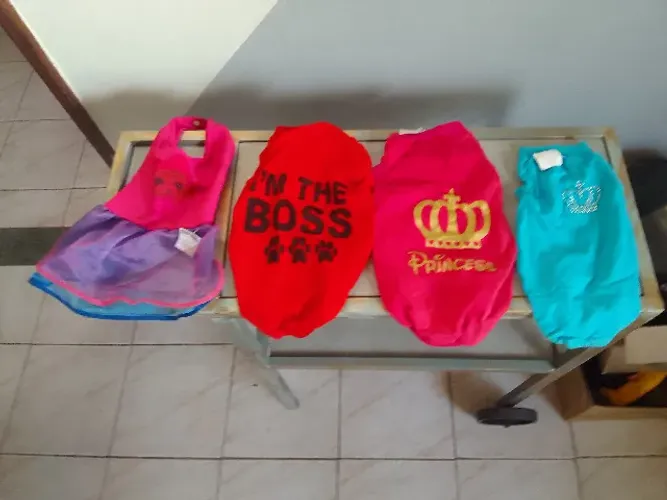 Acessorios para PETshop 
