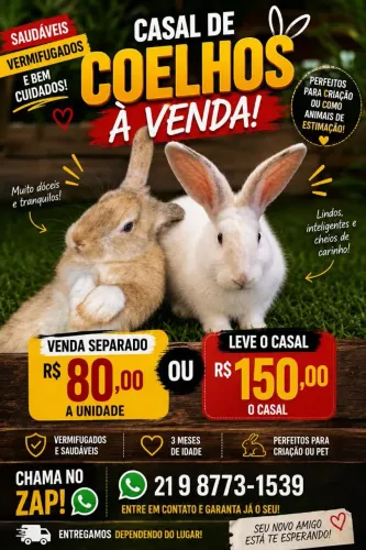 Casal coelho