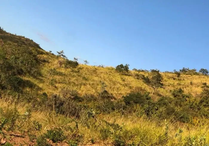 Arrendo Fazenda de 18 alqueires próxima ao asfalto.