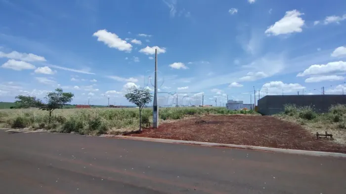 TERRENO À VENDA EM CRAVINHOS