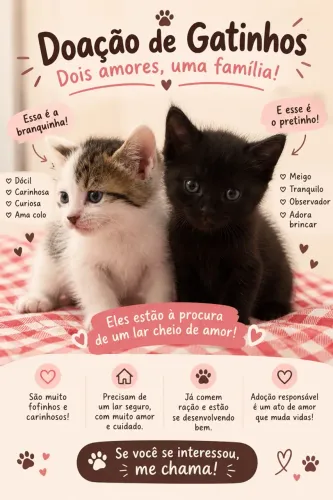 Adoção de gatinhos