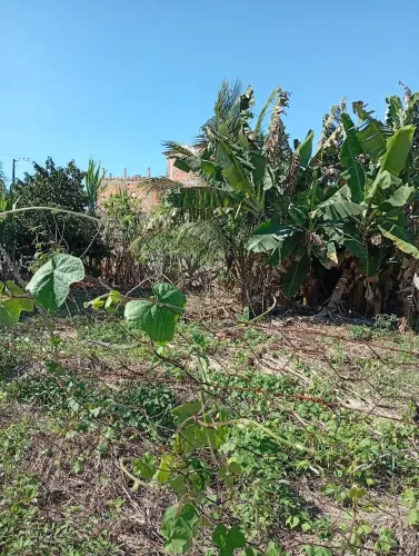 Vendo terreno de 400 mts