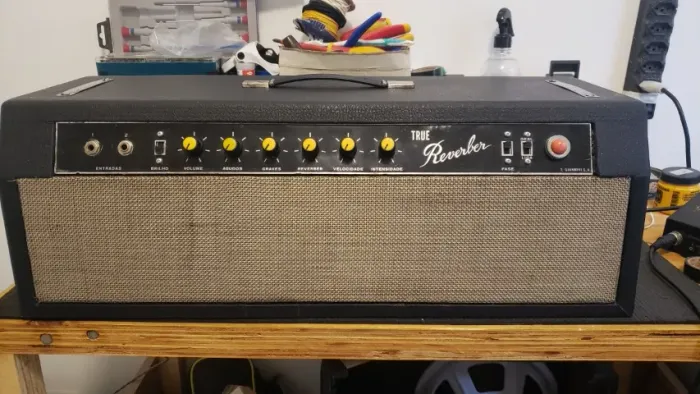 Amplificador Giannini True Reverber I 1967 50W
