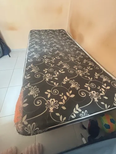 Bicama Box de solteiro 