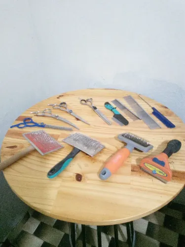 Tesouras e pentes para tosa
