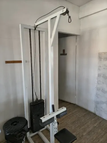 Pulley roldana profissional de academia 