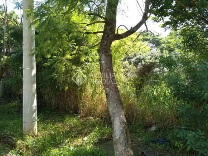 Terreno amplo no bairro Sarandi.