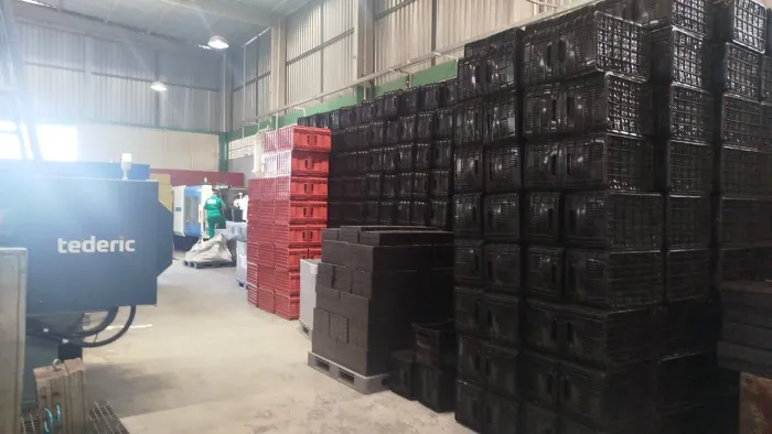 Caixa Pará verduras e frutas 