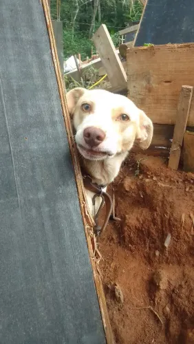 Doação