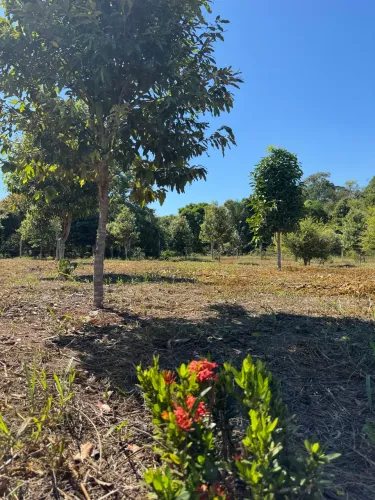 Vendo lote de chácara em excelente localização