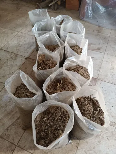 Vendo esterco de galinha puro