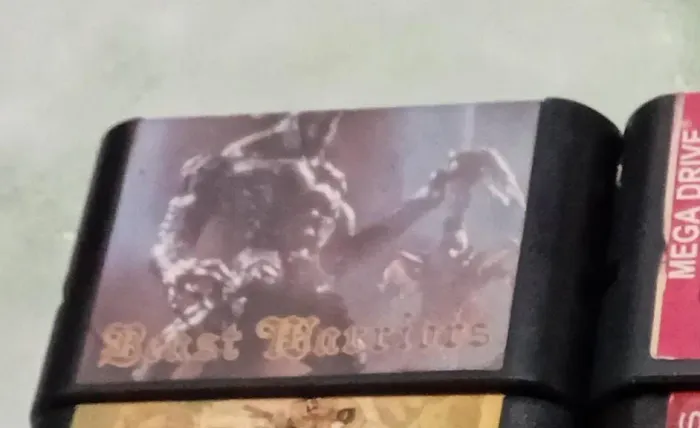 Beast Warriors chipada para Mega Drive