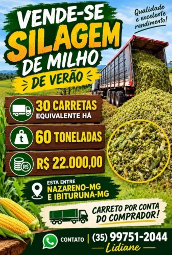 Vende se silagem 60toneladas 