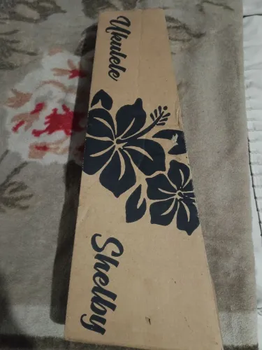 Ukulele modelo Shelby usado pousas vezes , ukulele na caixa !