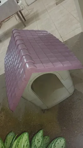 Casinha para Cachorro Grande