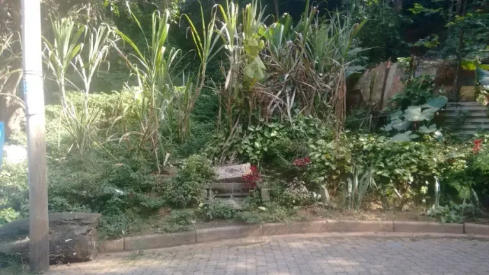 Oportunidade - Terreno 1.000m2 - Recreio São Jorge - Guarulhos