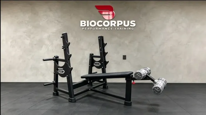 Oportunidade para Academia! Supino Declinado Scorpions Profissional