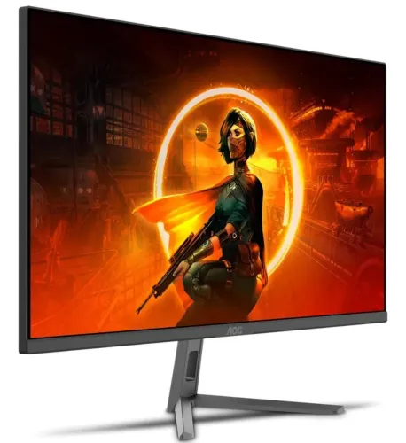 Monitor 24