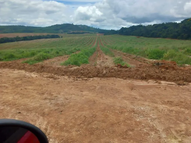 Fazenda  720 Hectares em Santo Antônio do Amparo -Mg