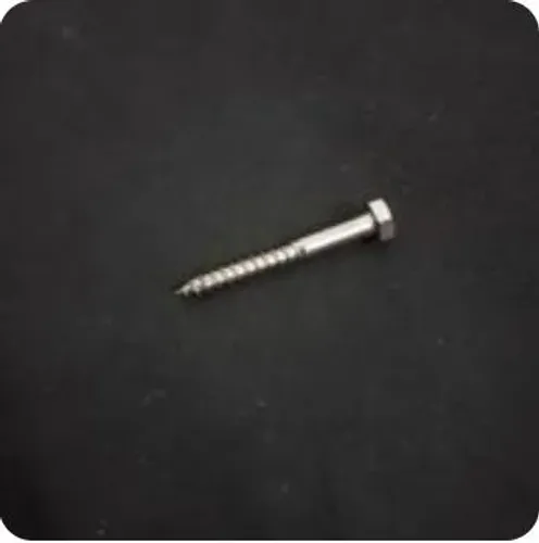 Parafuso sestavado inox 100 uni