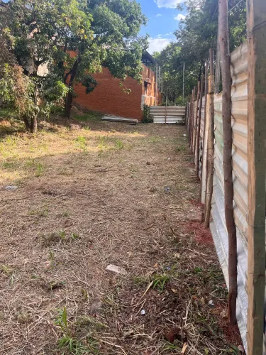 Lote no campo alegre
