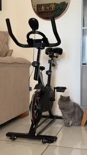 Bicicleta ergométrica