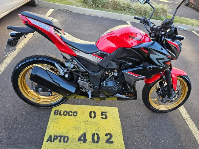 Z300 edição especial