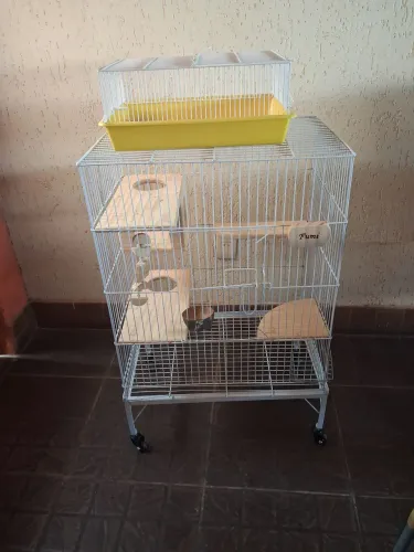 Gaiola para chimchila