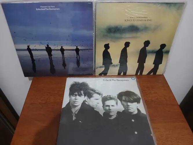 Disco vinil Echo e The Bunnymen