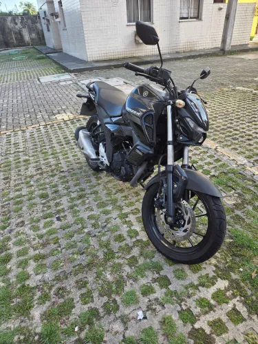 Fz15 2023