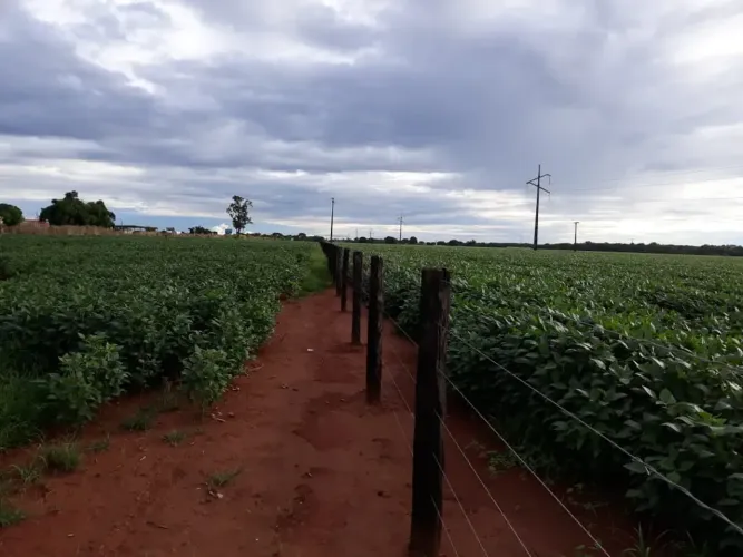 Vende-se Fazenda de 591 Alqueires na divisa de Goiás/ Tocantins