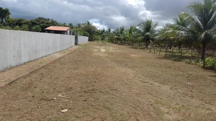 Lote na Lagoinha 