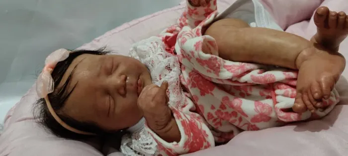 Sonho de Menina Reborn Bonecas Ultra Realistas