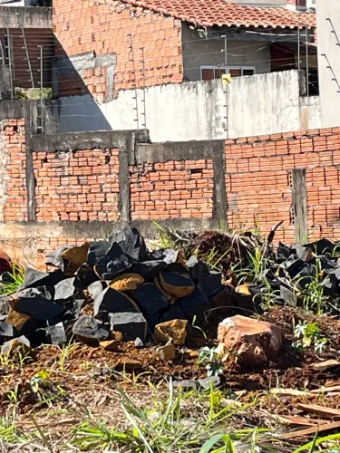 Pedras para lépidos