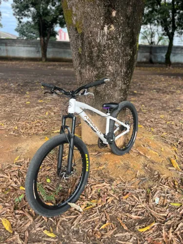 Absolute Brutus aro 26