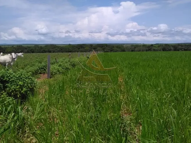 Fazenda - Guaraí - Guaraí
