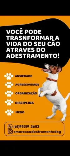 Adestramento o melhor preço de Brasília