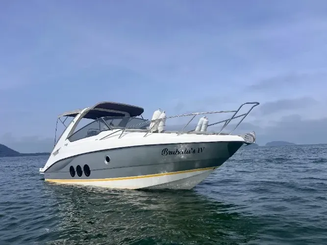 Lancha Yamaha Brava 308 2011