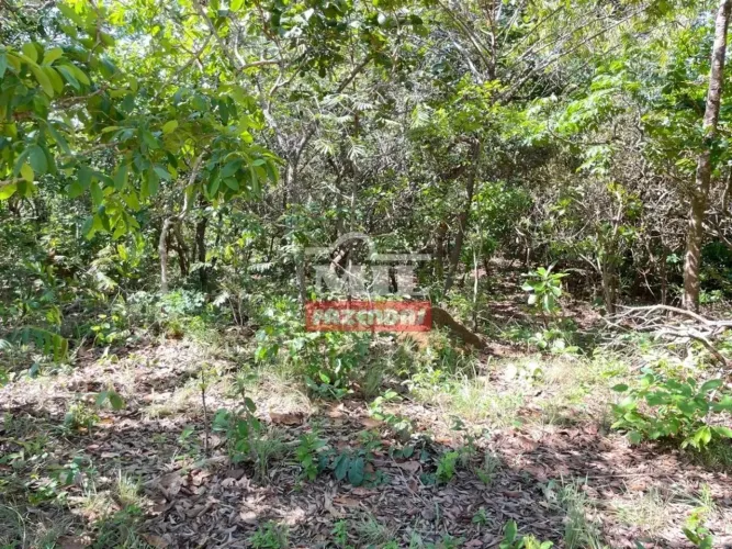 Fazenda 200 alqueires ( 968 hectares) Uruaçu - GO