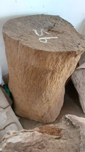 Tronco de Madeira de Reaproveitamento Jaqueira 