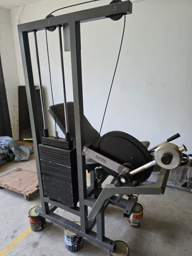 Extensora technogym